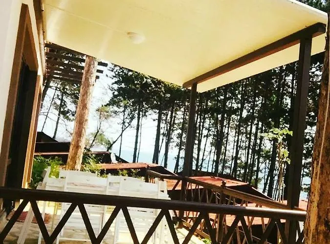 Dream View ביאלה