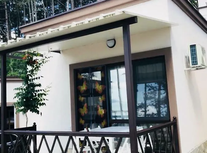 Dream View ביאלה