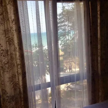 Dream View *