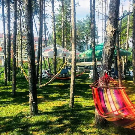 Dream View *